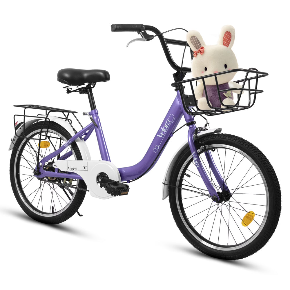 20 in Kids Bike for Boys Girls, 1 Speed Children Bicycle with Basket, Rear Seat, Chain Guard, Coaster Brake and V - Brake
